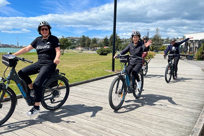 Napier: Cycle to Wineries - Half Day, self-guided - Key points at a glance