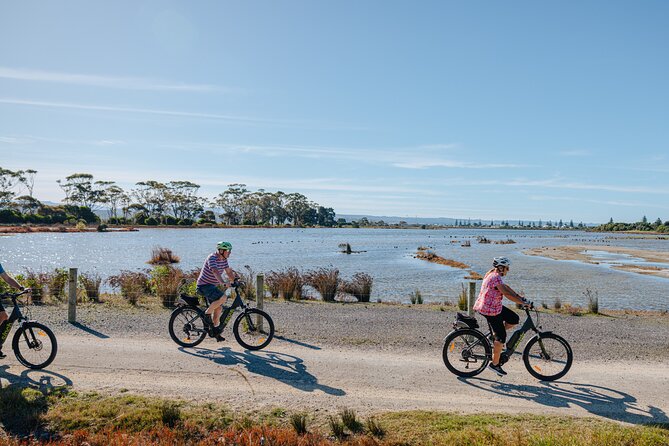Napier E-bike Hire - Key points at a glance
