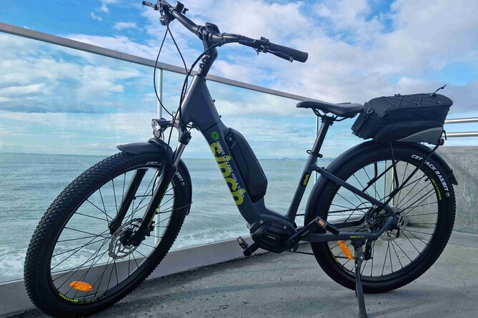 Napier E-bike Hire - Why an e-bike works so well in Napier