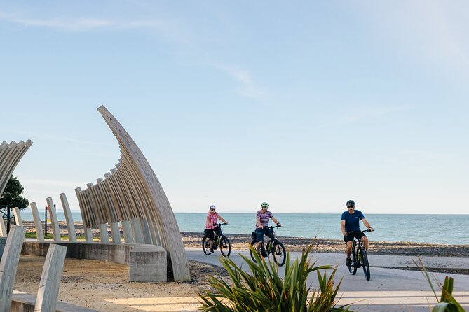Napier E-bike Hire - Route planning is the one weak spot
