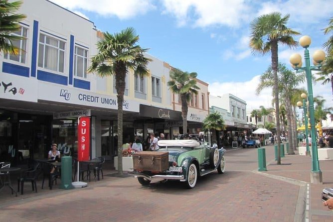Napier Shore Excursion: Wine & Art Deco Tour - Mission Estate or Church Road: two different wine settings