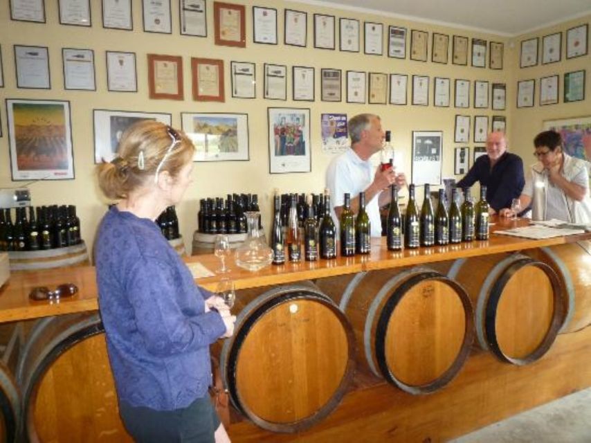 Napier: Winery + Gin Tasting Tour with Lunch Thu Fri Sat - Who should book this Napier wine and gin tour?