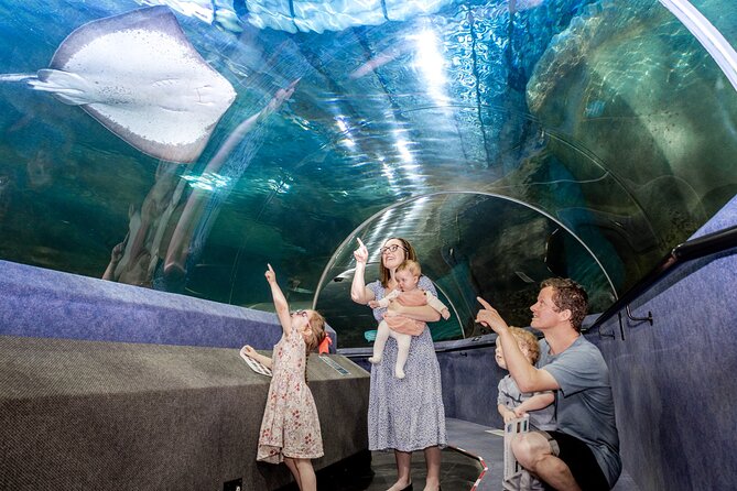 National Aquarium of New Zealand in Napier General Admission - How long should you allow at the aquarium?