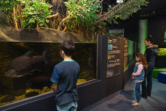 National Aquarium of New Zealand in Napier General Admission - What the admission price means for your day