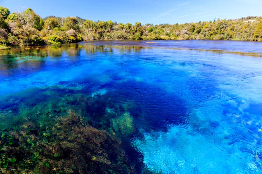 Nelson: Abel Tasman Cruise-Fly Day Tour - Who should book this day
