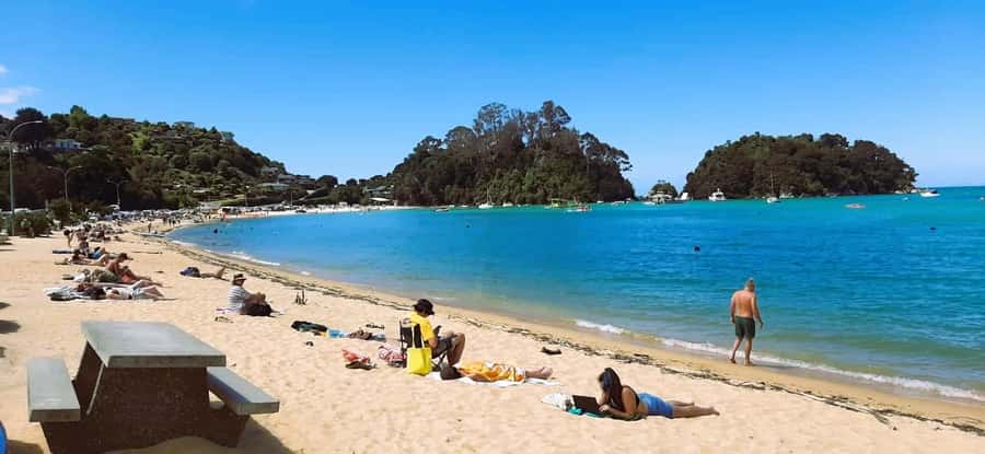 Nelson: Abel Tasman Cruise-Fly Day Tour - The $417 price and what you receive