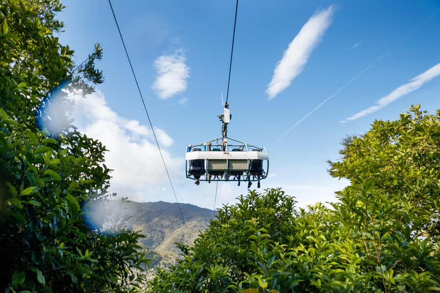 Nelson: Cable Bay Adventure Park Skywire Experience - Forest, farmland, and the view from above