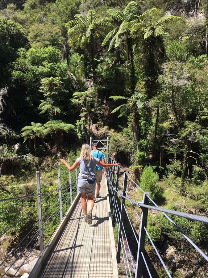Nelson: Golden Bay in a Day Tour - Lunch in Takaka and the useful comforts between stops