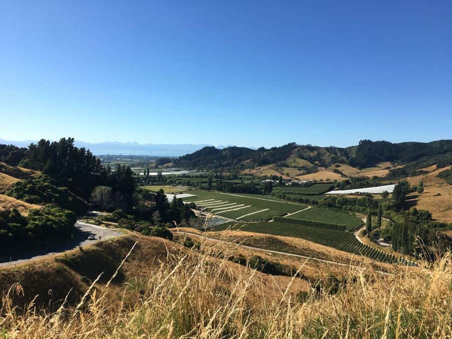 Nelson: Golden Bay in a Day Tour - The Grove Reserve and coastal rock shaped by time
