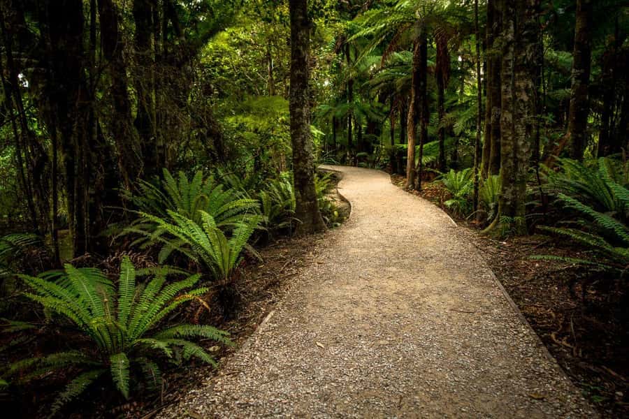 Nelson: Golden Bay in a Day Tour - What the guide adds to a day of scenic stops