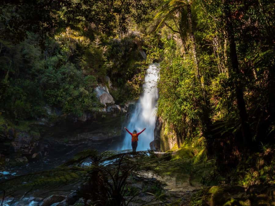 Nelson: Golden Bay in a Day Tour - Is $256 a fair price?