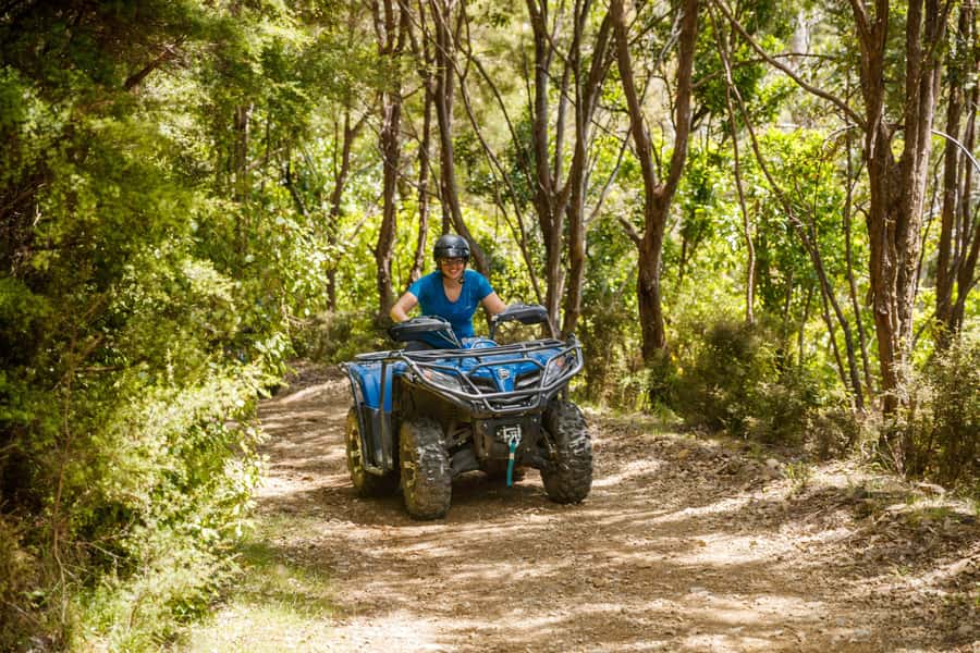 Nelson: Guided Quad Biking Tour Through Forest and Farmland - Forest trails, Skywire Hill, and the Cable Bay lookout