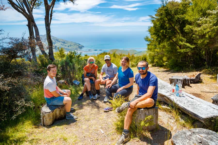 Nelson: Guided Quad Biking Tour Through Forest and Farmland - Guides who add more than directions