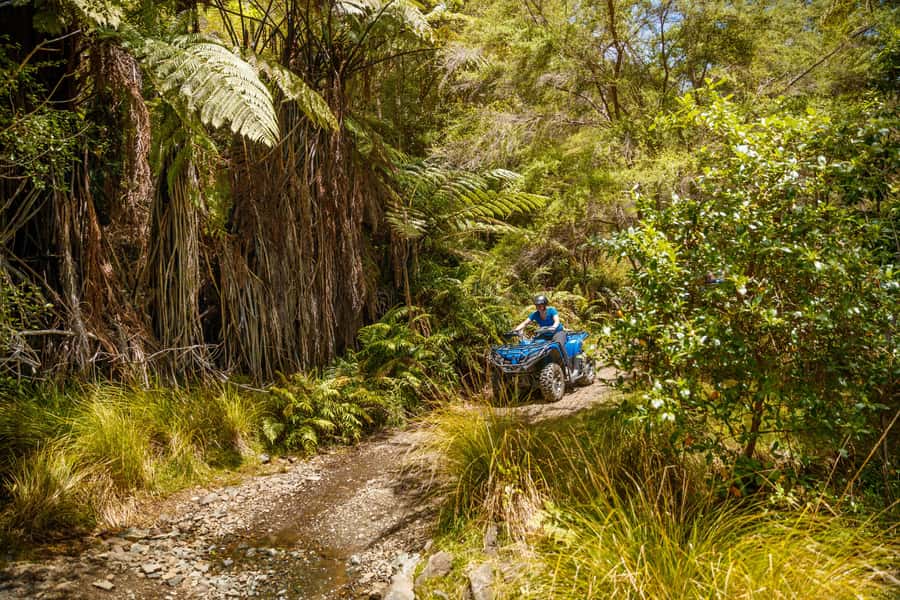 Nelson: Guided Quad Biking Tour Through Forest and Farmland - Quad bikes, comfort, and practical limits