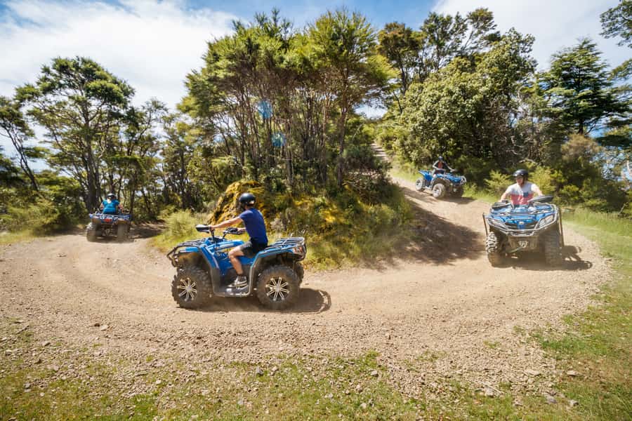 Nelson: Guided Quad Biking Tour Through Forest and Farmland - Is the NZD 80 price good value?