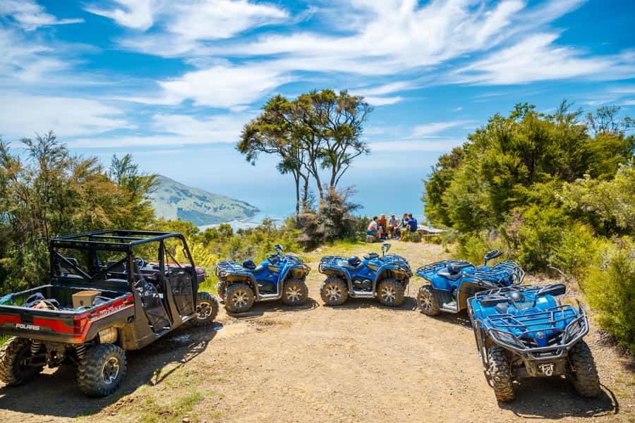 Nelson: Guided Quad Biking Tour Through Forest and Farmland - Who will enjoy this ride most?