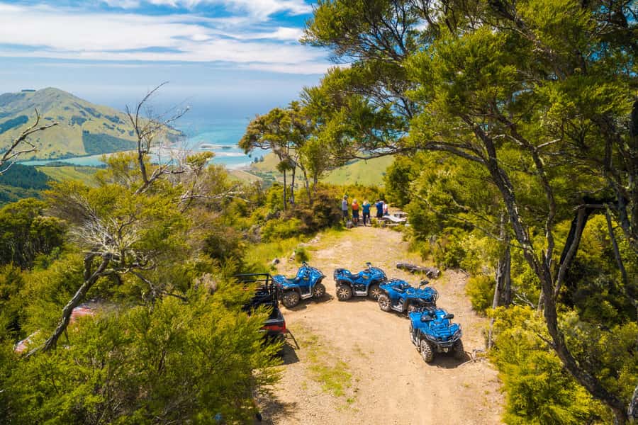 Nelson: Guided Quad Biking Tour Through Forest and Farmland - Choosing between the 1.5-hour and 2.5-hour rides