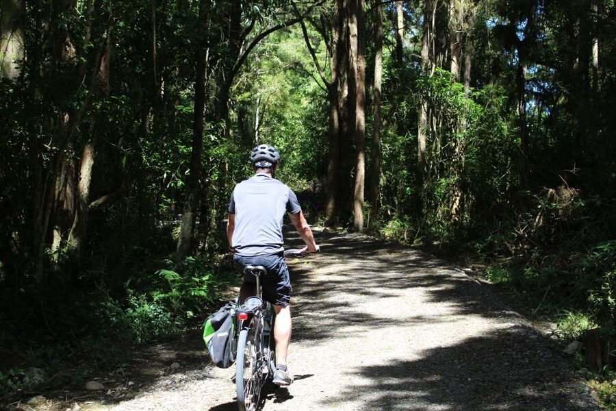 Nelson: Self-Guided Tunnel to Town Cycling Tour via Mapua - Crossing to Mapua Wharf by ferry