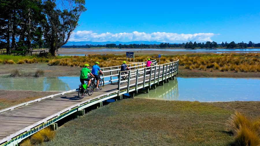 Nelson to Mapua: Full-Day Cycling Self-Guided Adventure - The Waimea Estuary and its changing views