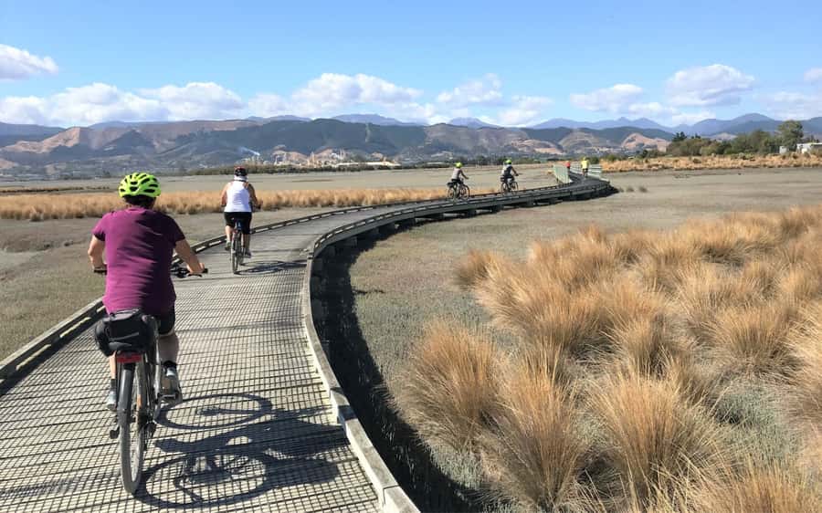 Nelson to Mapua: Full-Day Cycling Self-Guided Adventure - Rabbit Island for a swim and a longer pause