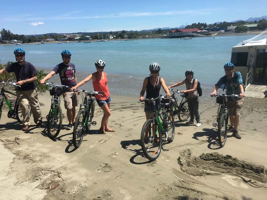 Nelson to Mapua: Full-Day Cycling Self-Guided Adventure - The Mapua Ferry and a satisfying finish