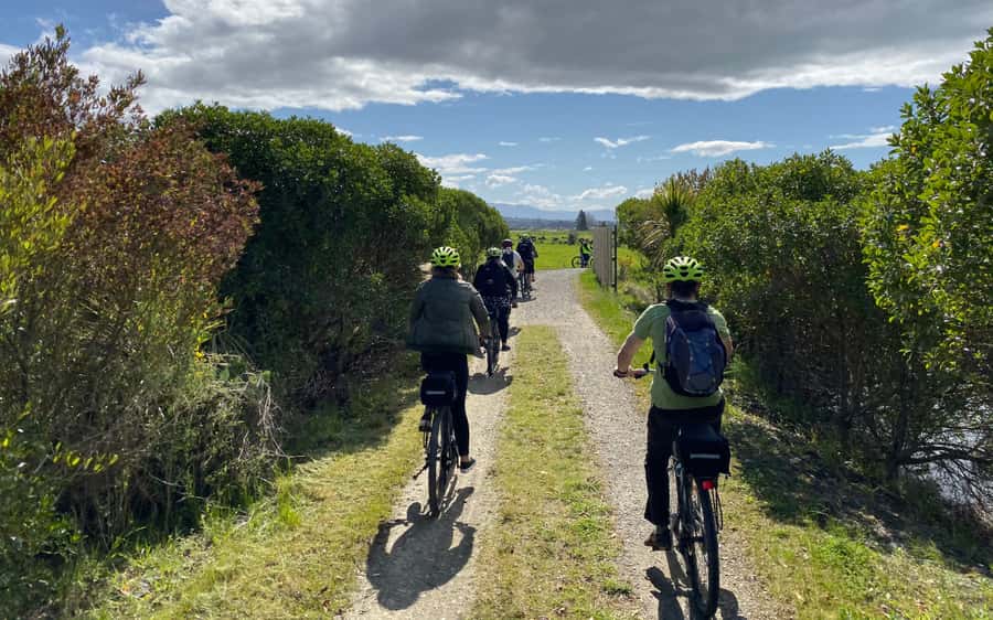 Nelson to Mapua: Full-Day Cycling Self-Guided Adventure - Who will enjoy this day most