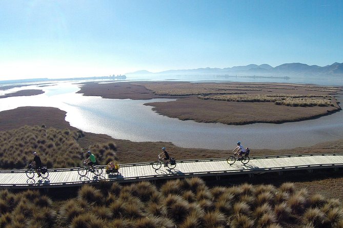Nelson to Mapua: Full-Day Self-Guided Cycling Adventure - A self-guided ride with a proper day’s worth of choices