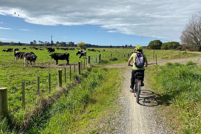 Nelson to Mapua: Full-Day Self-Guided Cycling Adventure - The approach to Mapua brings the coastal payoff