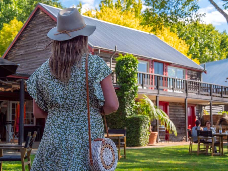 Nelson: Wine Tour with Tastings and Lunch - Two boutique wineries before lunch