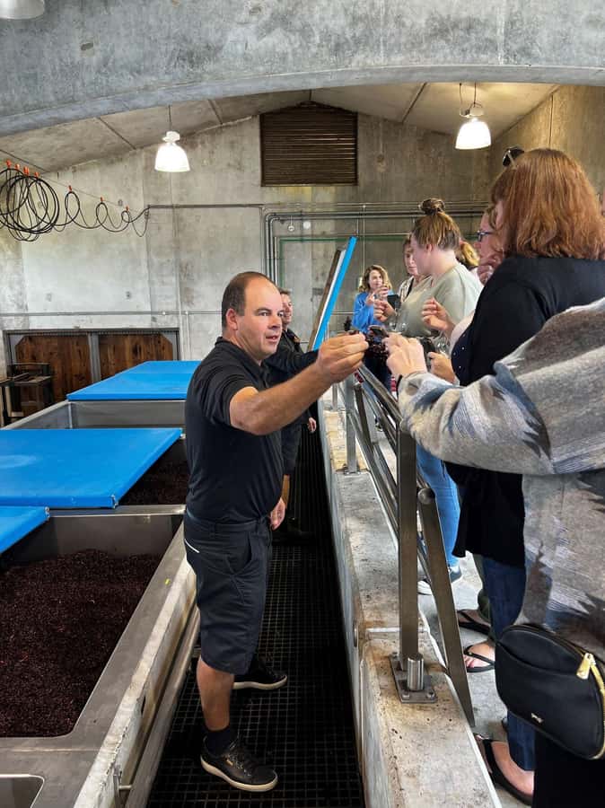 Nelson: Wine Tour with Tastings and Lunch - What $238 buys you