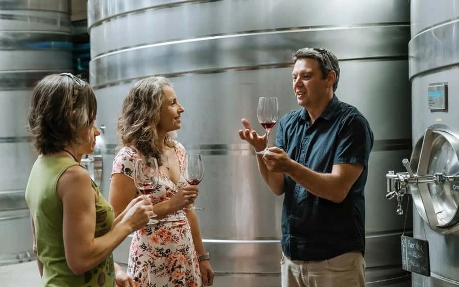 Nelson: Wine Tour with Tastings and Lunch - The road from Nelson to the first tasting