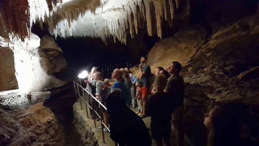 New Zealand: Milky Way Glowworm Cave Tour - Key points at a glance