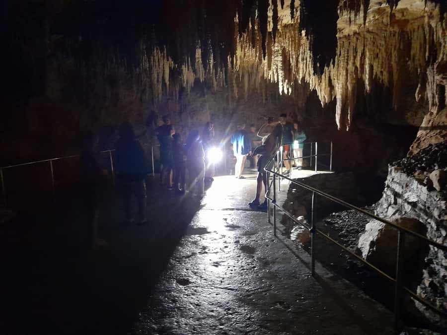 New Zealand: Milky Way Glowworm Cave Tour - What you learn about the glowworms