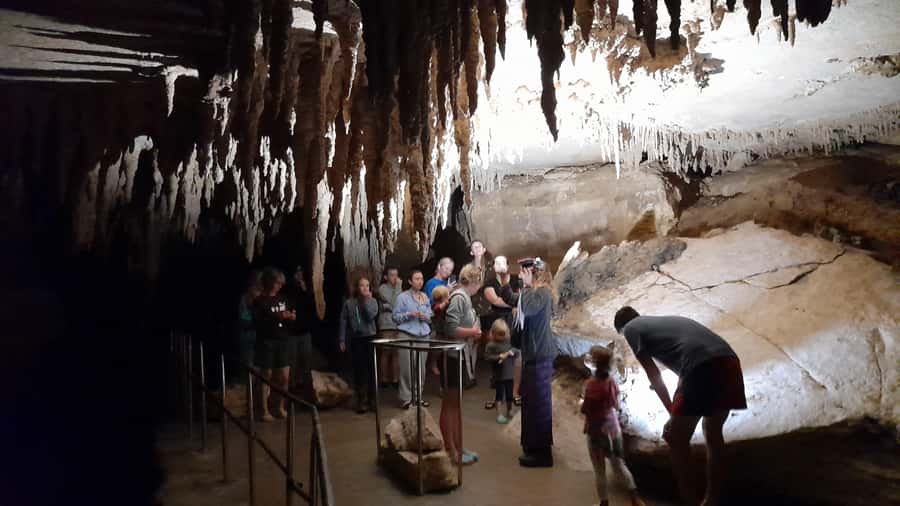 New Zealand: Milky Way Glowworm Cave Tour - Make the most of the park after the cave