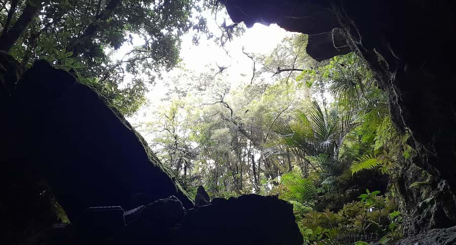 New Zealand: Milky Way Glowworm Cave Tour - Who will enjoy this tour most