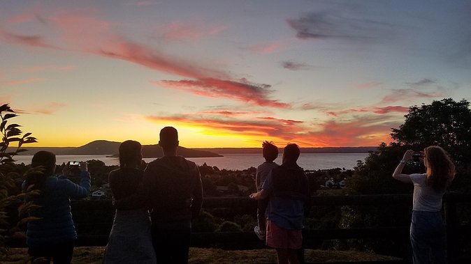 Nocturnal adventure Glow-worm tour - Stephen’s guiding style and photography