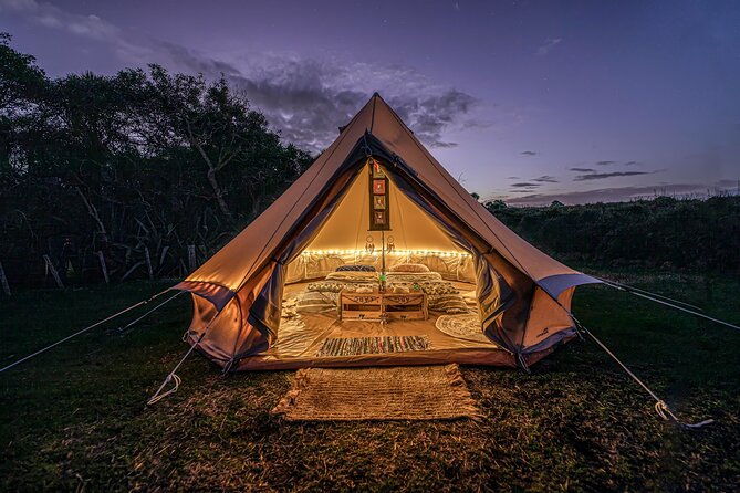 Nocturnal Wonders Tawharanui Kiwi Spotting and Stargazing Tour - Why Tawharanui is worth seeing after dark