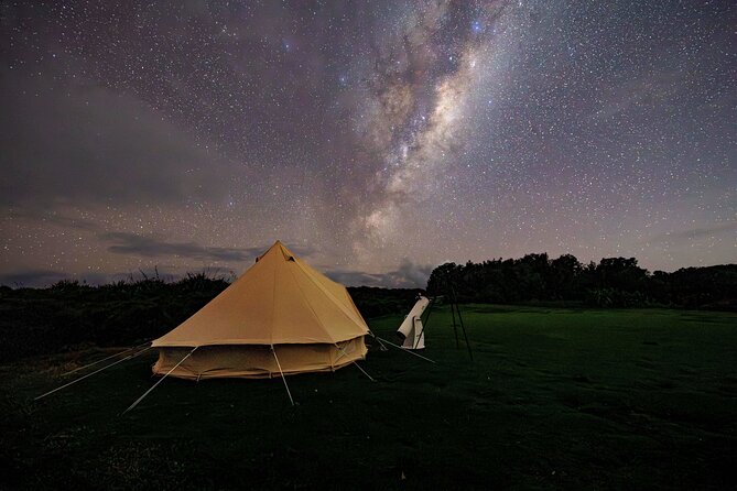 Nocturnal Wonders Tawharanui Kiwi Spotting and Stargazing Tour - Price and what the $93.09 covers