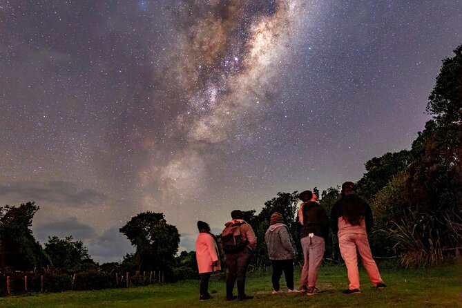 Nocturnal Wonders Tawharanui Kiwi Spotting and Stargazing Tour - Who should book this night walk