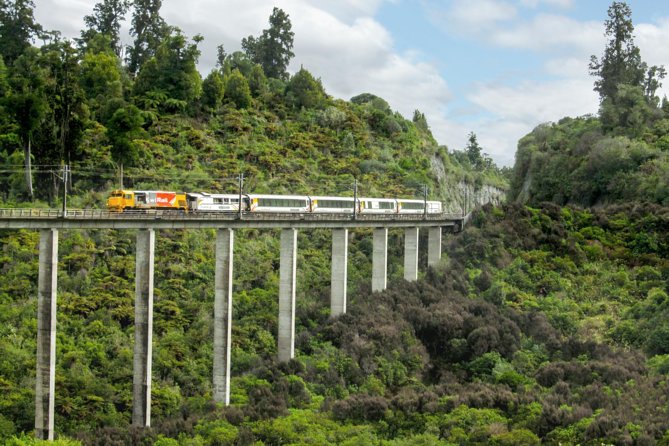Northern Explorer Train Journey from Wellington to Auckland - Key points to know before boarding