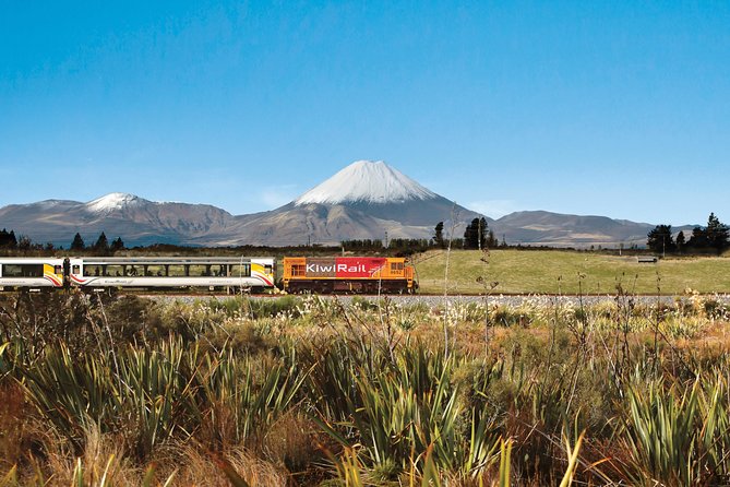 Northern Explorer Train Journey from Wellington to Auckland - Farmland, country towns, and the changing North Island
