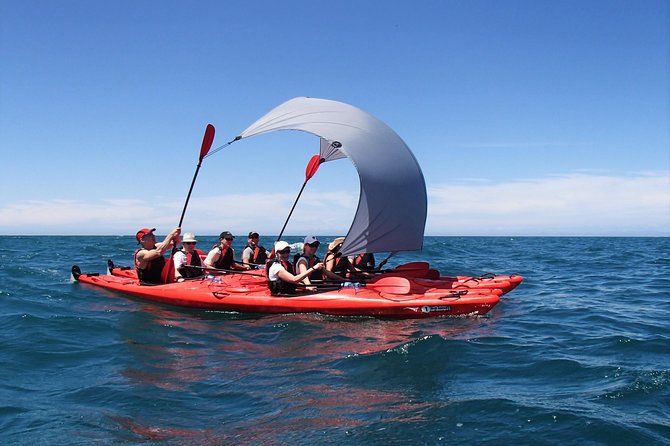 Oarsome Marine Reserve Kayak Tour - Starting at 8:30 in Marahau