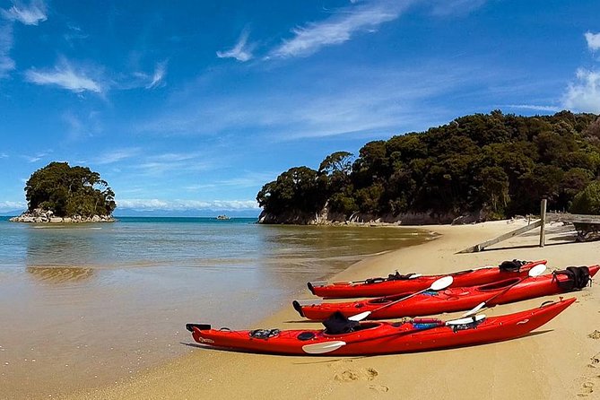 Oarsome Marine Reserve Kayak Tour - Why the lagoons make the kayak worthwhile