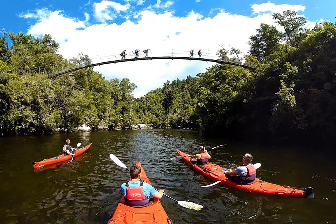 Oarsome Marine Reserve Kayak Tour - What the guides add to a long day