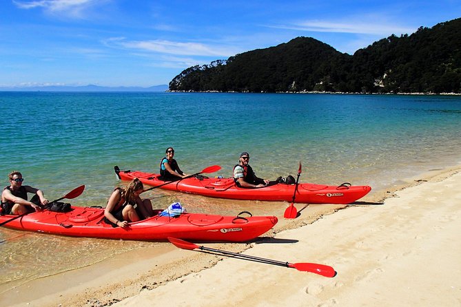 Oarsome Marine Reserve Kayak Tour - Meeting the fur seals at Tonga Island
