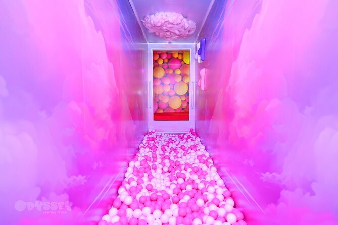 Odyssey Sensory Maze Entry Auckland Ticket - Is $21.72 good value for a short visit?
