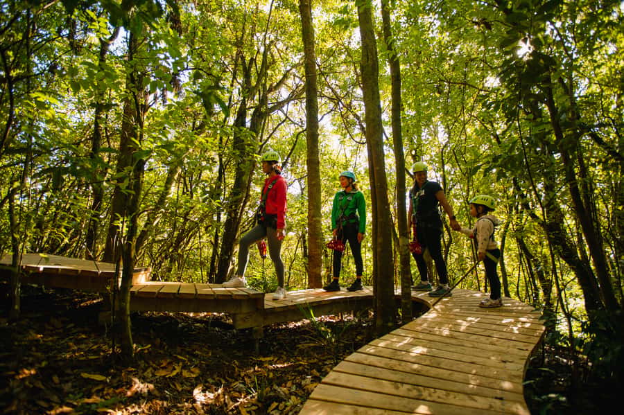 Okere Falls: Zipline over Waterfalls Experience - How much value do you get for $80?