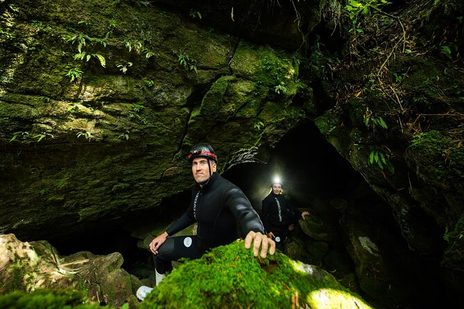 Okohua Glowworm Cave Adventure - Is $141.58 a fair price?