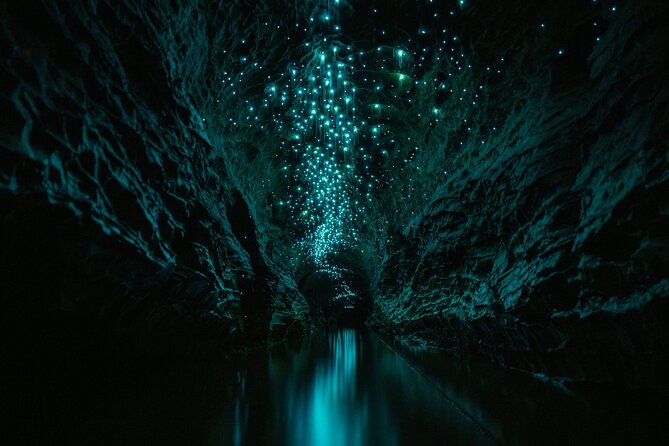 Okohua Glowworm Cave Adventure - Walking across Tumu Tumu Station to the cave