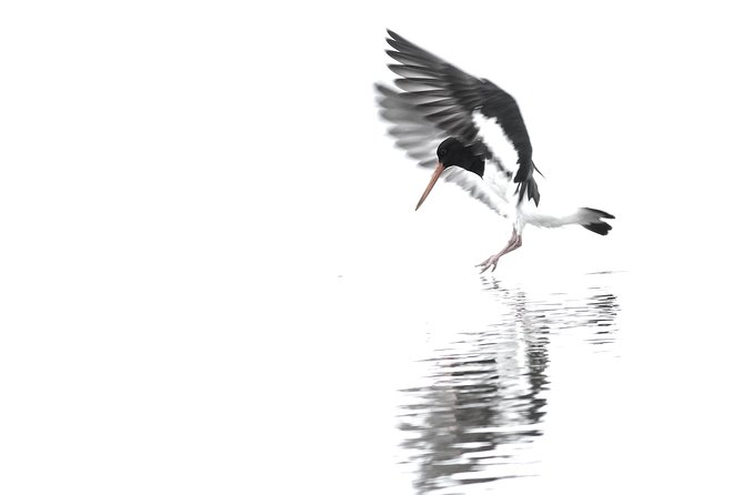 One Day Birding Adventure - The physical side of a seven-hour outing